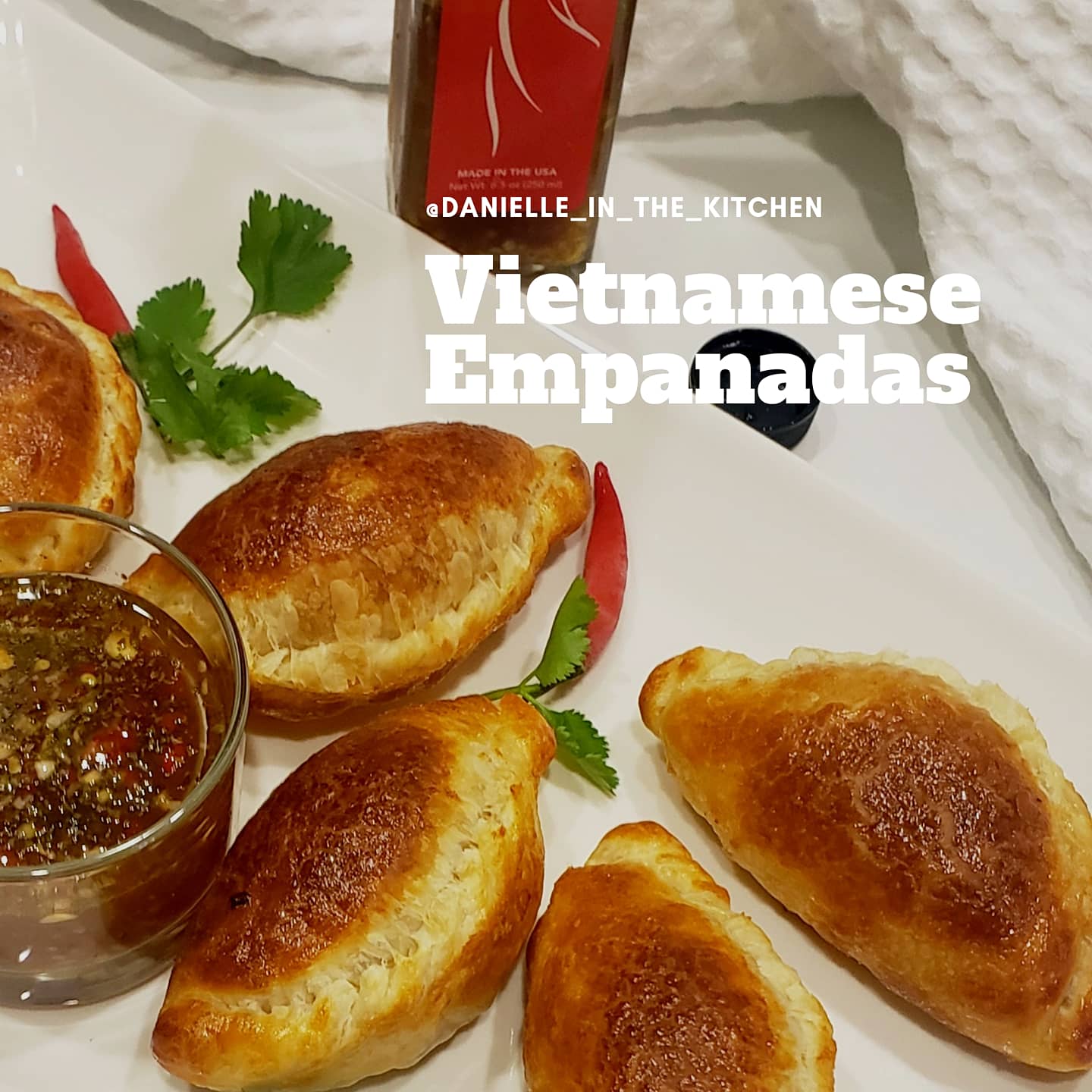 Vietnamese Empanadas